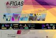 Afiche V Foro Internacional del Gas y Energía -FIGAS 2013