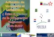 Presentación preliminar del mercosur 2011 parlatino (1)
