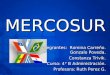 Mercosur Completo