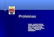 Proteinas presentacion