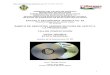 Análisis de Objeto Técnico El Disco Compacto (Compact Disk)
