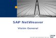 SAP NetWeaver Vision General
