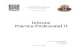 Informe Practica Profesiaonal II