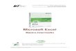 Microsoft Excel Basico e Intermedio
