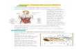 anatomía y fisiología del aparato digestivo