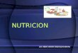 Nutricion y Macronutrientes Set 2008