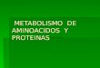Metabolismo de Aminoacidos y Proteinas