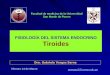FisiologÍa Del Sistema Endocrino Tiroides