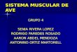 Diapositiva Musculatura de Ave2007