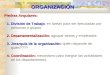 Organización - Organigramas