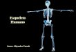 Fatouh - 4to año - Esqueleto Humano