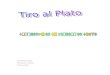 Curso de Tiro Al Plato