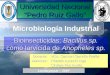 Presentación: Produccion de bioinsecticidas a base de Bacillus sp