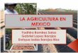 La Agricultura en Mexico