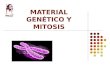 Material Genetico y Mitosis