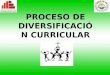 Diversificacion Curricular - Ugel 04