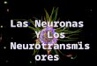 neurotransmisores 3º