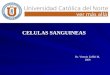 Histologia - 06 - Celulas  sanguineas.27.04.09
