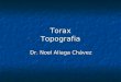 topografia 2 de torax