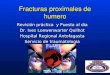 Proximal Humerus Fractures2203ab