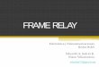 Frame Relay ES_NV