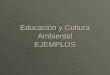Educación y Cultura Ambiental expocision ejemplo