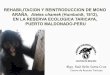 9. Proyecto Mono araña - Raul Bello