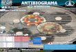 3- microbiologia- antibiograma