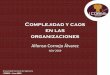 Complejidad y Caos en Las Organizaciones - Ing. Alfonso Cornejo