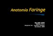 Anatomía Faringe COMPLETO