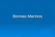 Biomas Marinos