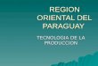 Region Oriental Paraguay