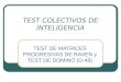 Test Colectivos de Inteligencia