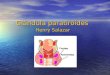 hormona tiroidea y glandula paratiroides