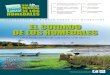 folleto El cuidado de los Humedales (2009) Convención de Ramsar sobre los Humedales