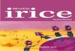 Revista Irice Nº 20 - Nueva Epoca