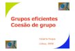 Grupos eficientes e Coesão de grupo
