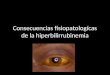 Consecuencias fisiopatologícas de la hiperbilirrubinemia