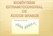 Biosintesis de Acidos Grasos