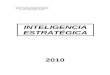 Inteligencia Estrategica (EMI 2010)