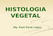 3ra Clase_Histologia Vegetal 2010