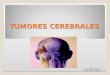 Proceso de Atencion de Enfermeria a Ptes Con Tumores Cerebra Les