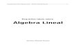 Pequeñas Ideas Sobre Álgebra Lineal