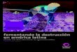 Fomentando la destrucción en América Latina