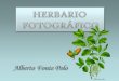 Herbario Fotográfico