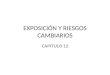 EXPOSICIÓN Y RIESGOS CAMBIARIOS