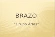 Anatomia Brazo (Resumen)