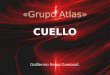 Anatomia Humana - Cuello Parietal - Grupo Atlas