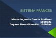 Sistema Legal Frances. +Maria de Jesus