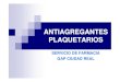Sesión FT Antiagregantes SºFarmacia GAP-CR 2010